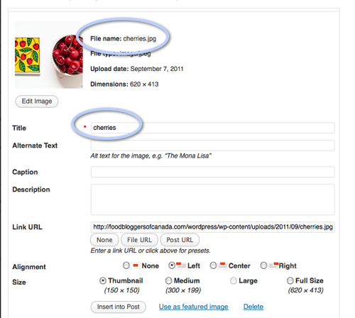wordpress screenshot wordpress screen shot for photo uploads
