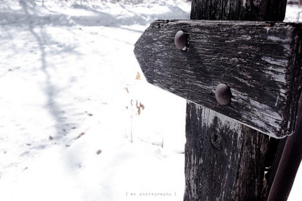 Fence Marker in the Snow