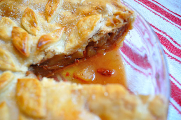 Food Gypsy Attitude of Gratitude Apple Goji Berry Pie 