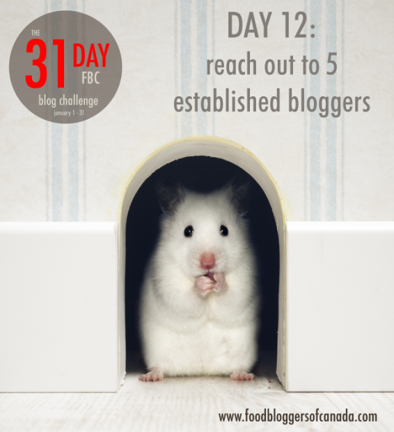 Day 12 of the FBC 31 Day Blog Challenge: Reach out to 5 established bloggers | FBC www.foodbloggersofcanada.com