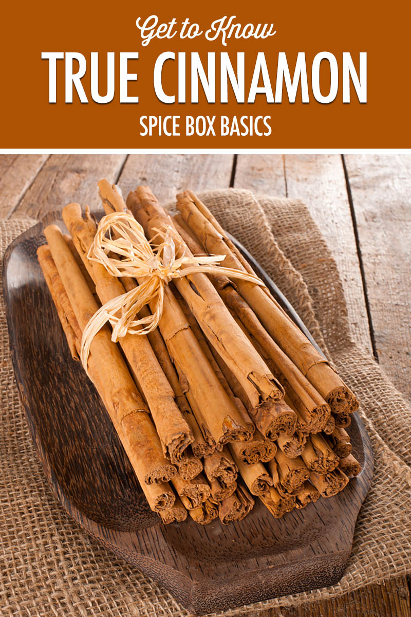 Spice Box Basics: Get to Know True Cinnamon | Food Bloggers of Canada