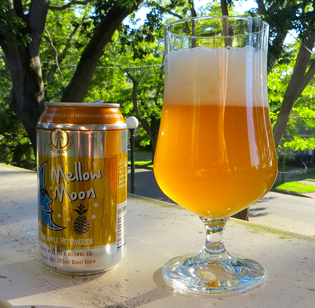 Canada's Craft Beer: Craft Beer in Cans | Food Bloggers of Canada