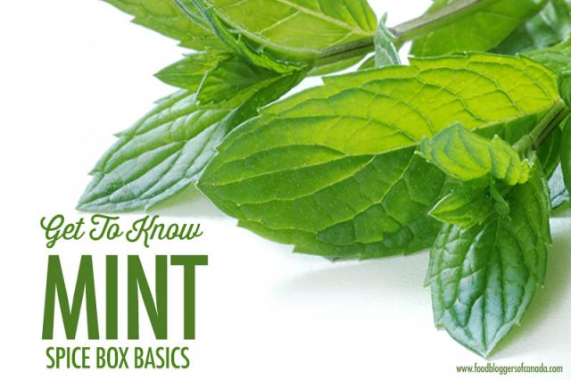Get to Know MInt - Spice Box Basics | Food Bloggers of Canada
