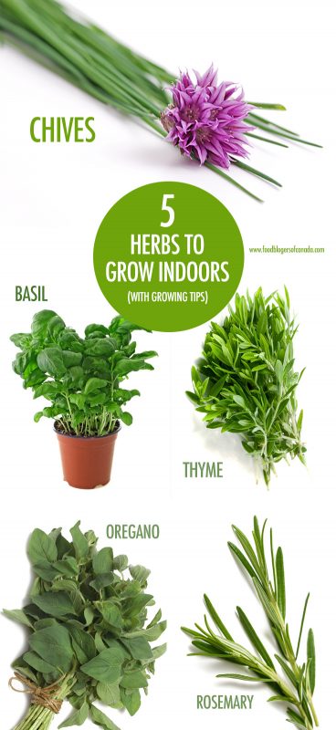 5 Herbs You Can Grow Indoors In Winter | Food Bloggers of Canada