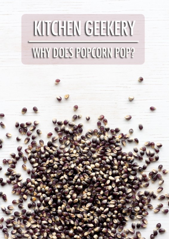 Kitchen Geekery - Why Does Popcorn Pop | Food Bloggers of Canada