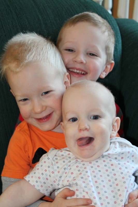 FBC Featured Member: Hidden Ponies | Food Bloggers of Canada