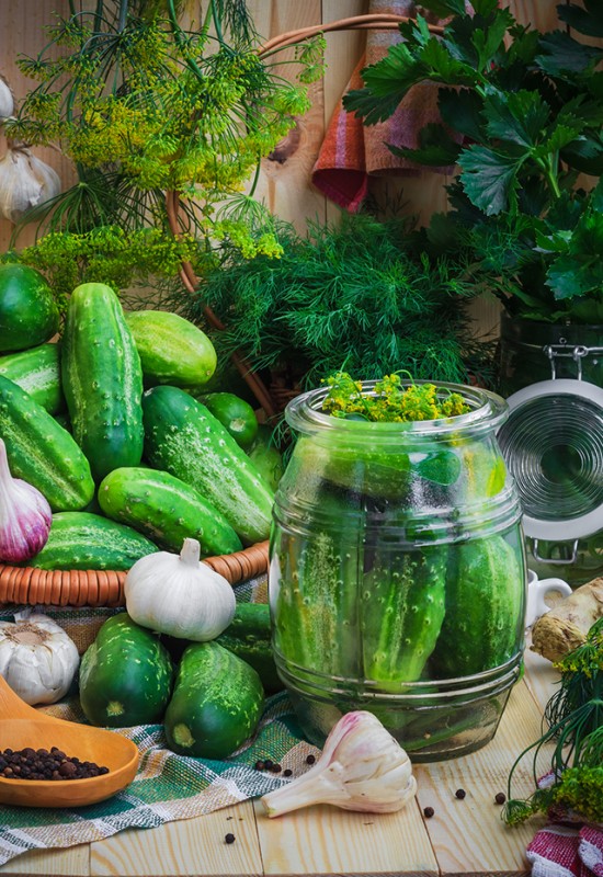 Getting To Know Dill | Food Bloggers of Canada