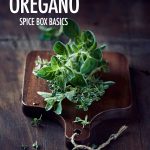 Get To Know Oregano | Food Bloggers of Canada