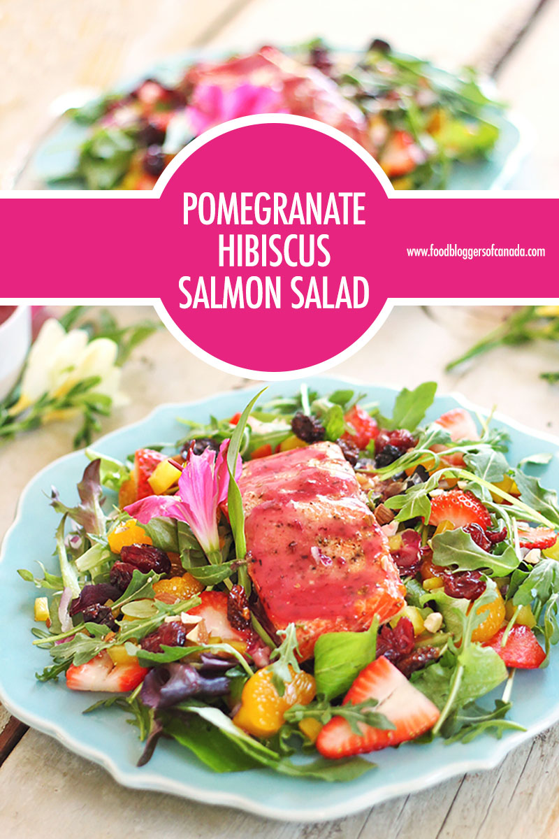 Pomegranate Hibiscus Salmon Salad | Food Bloggers of Canada