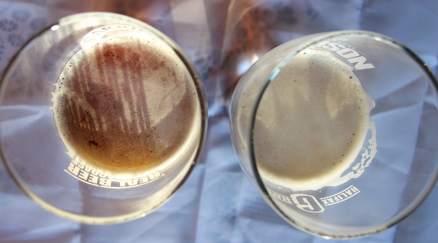 Nucleated Beer Glasses | Food Bloggers of Canada