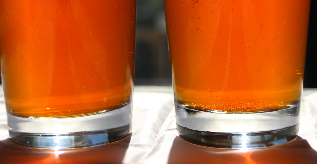 Nucleated Beer Glasses | Food Bloggers of Canada