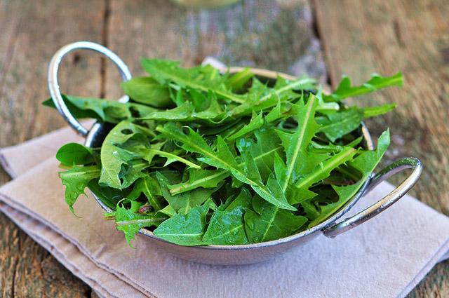 Dandelions: One Curious Ingredient | Food Bloggers of Canada