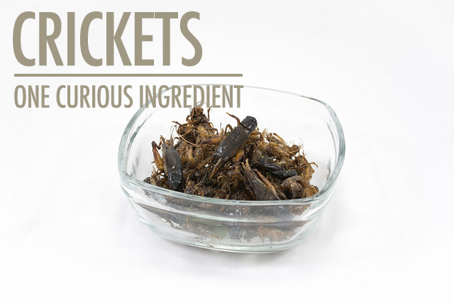 One Curious Ingredient: Crickets | Food Bloggers of Canada