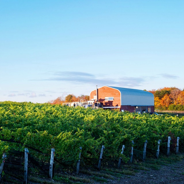 Canadian Wine Spotlight: Norman Hardie Winery | Food Bloggers of Canada