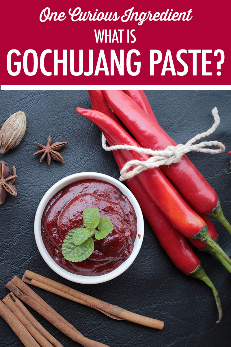 What is Gochujang Paste | Food Bloggers of Canada