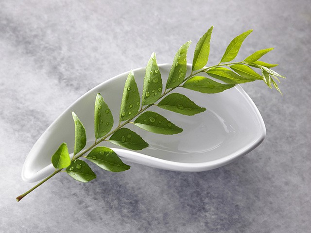 The FBC Spice Box: Getting to Know Curry Leaves | Food Bloggers of Canada