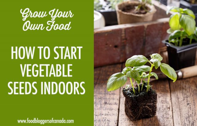 How To Start Vegetable Seeds Indoors H | Food Bloggers of Canada