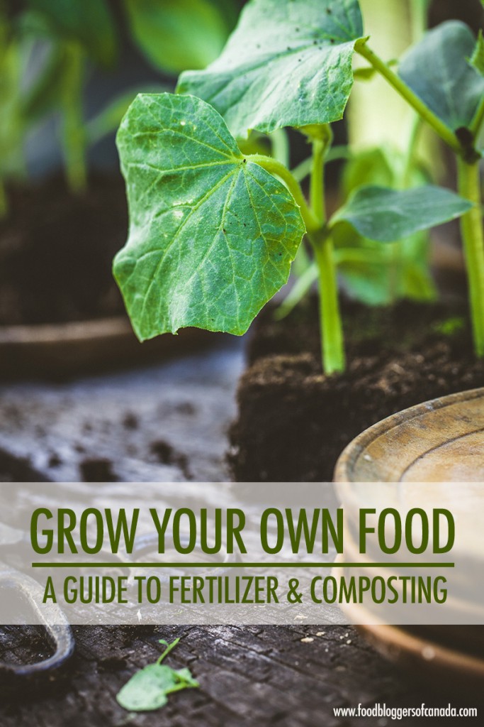 Grow Your Own Food: A Guide to Fertilizer and Composting | Food Bloggers of Canada