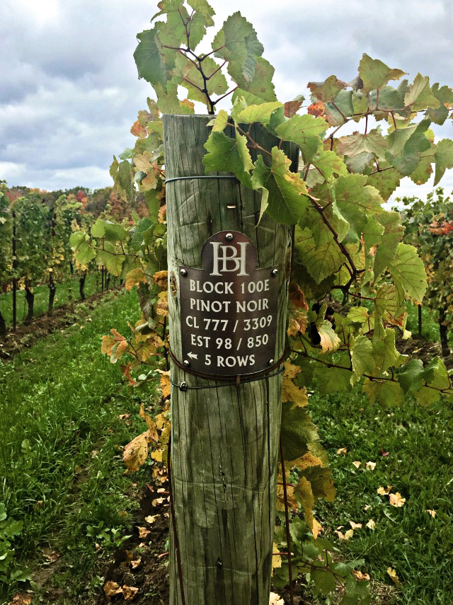 Canadian Wine: Hidden Bench Winery | Food Bloggers of Canada
