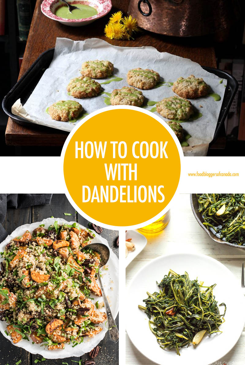 How To Cook With Dandelions | Food Bloggers of Canada