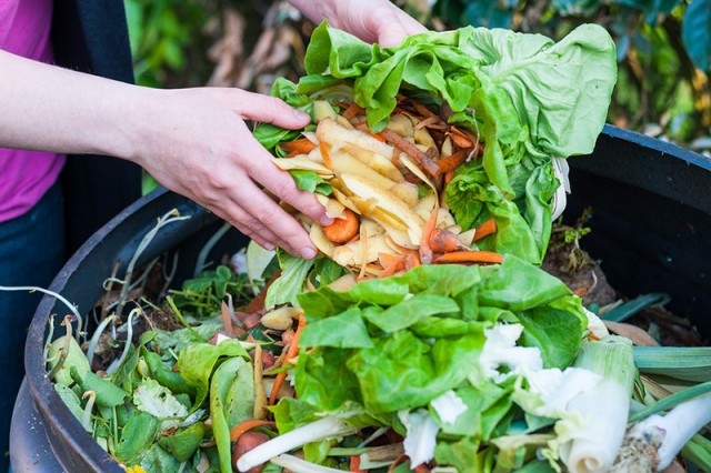 Grow Your Own Food: A Guide to Fertilizer and Composting | Food Bloggers of Canada