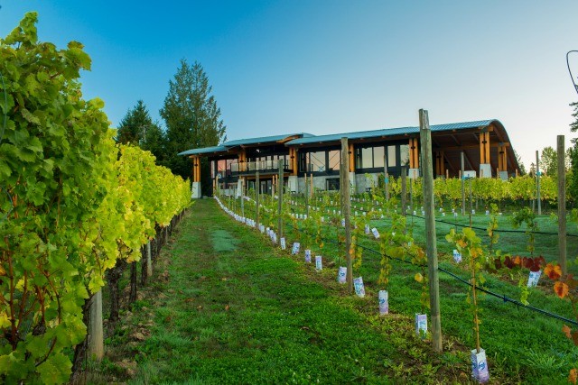 Blue Grouse Estate Winery | Food Bloggers of Canada