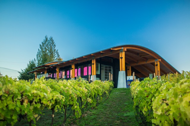Blue Grouse Estate Winery | Food Bloggers of Canada