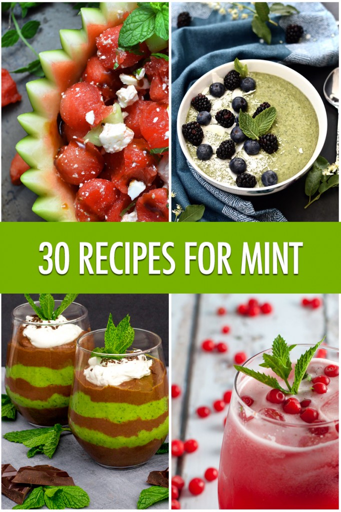 Hit Refresh With 30 Ways To Cook With Mint Food Bloggers of Canada