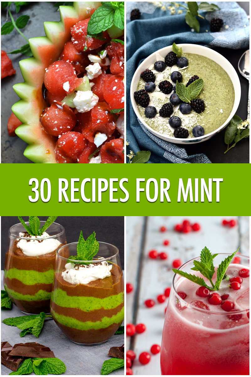 30 Ways to Use Mint | Food Bloggers of Canada