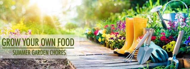 Grow Your Own Food: Summer Garden Chores | Food Bloggers of Canada