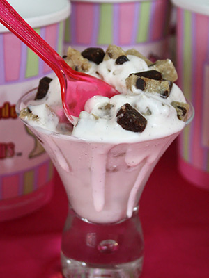 Ice Cream Recipe Roundup | Food Bloggers of Canada