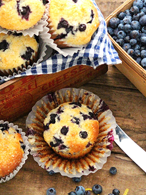 Over 70 Juicy Canadian Blueberry Recipes | Food Bloggers of Canada
