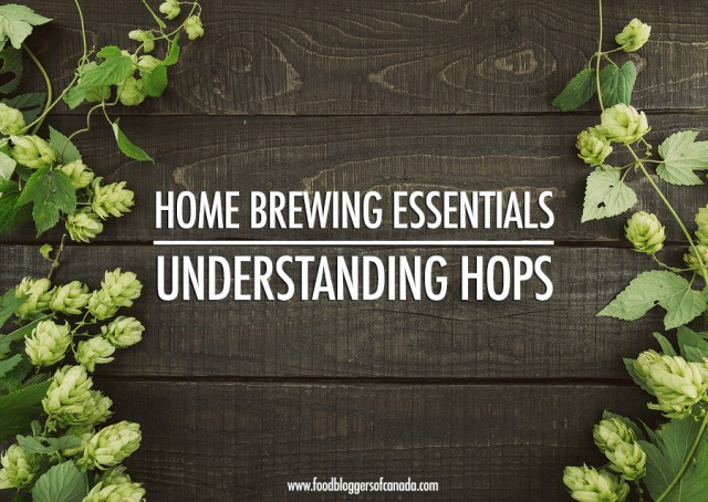 Home Brewing Essentials: Understanding Hops