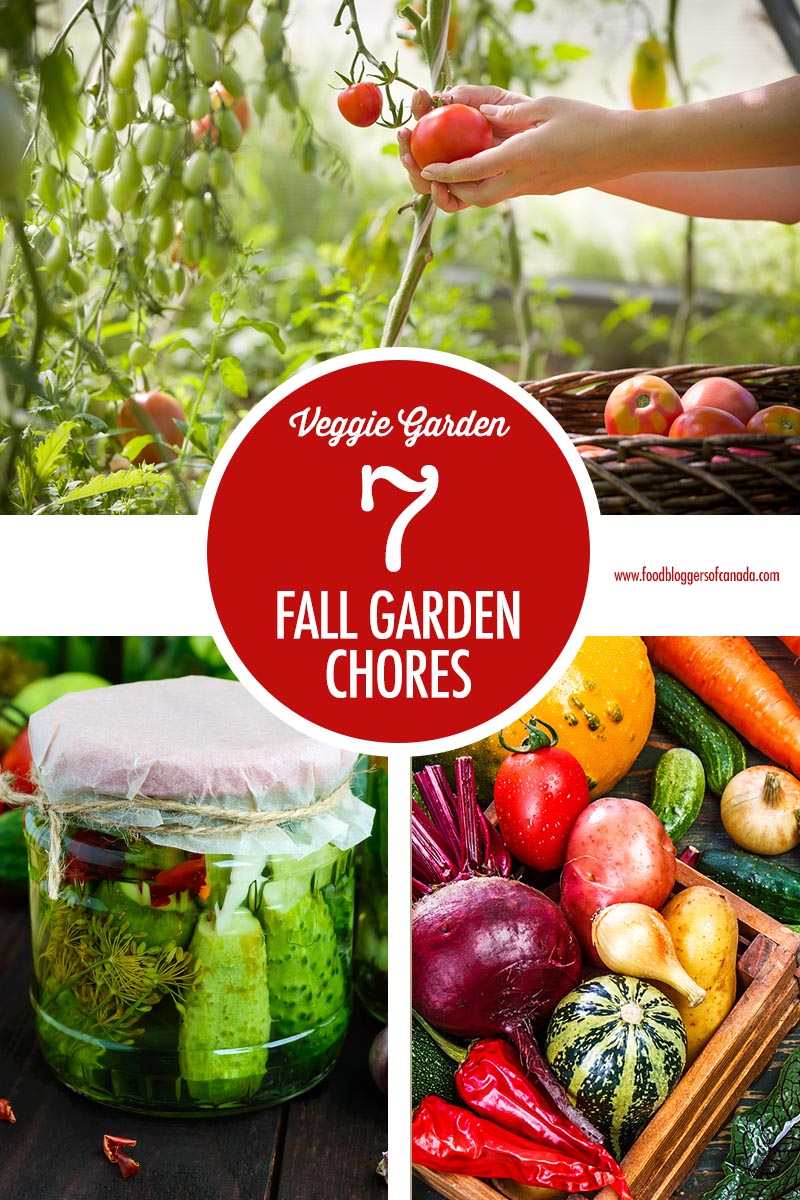 7 Fall Garden Chores for the Harvets | Food Bloggers of Canada