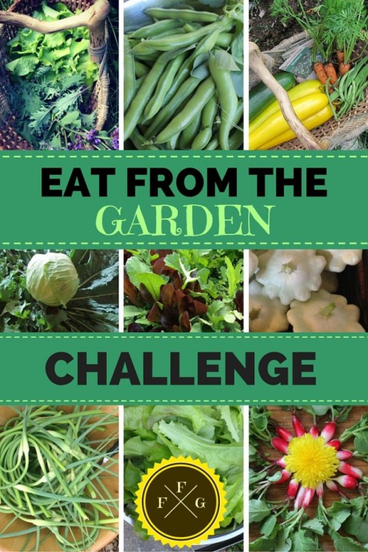 Featured Member: Family Food Garden