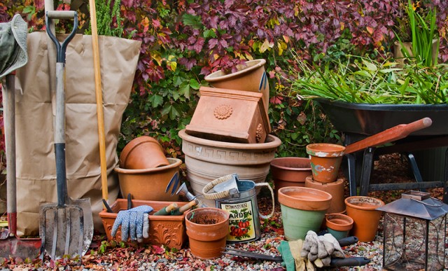 Grow Your Own Food: Putting the Garden to Bed for Winter