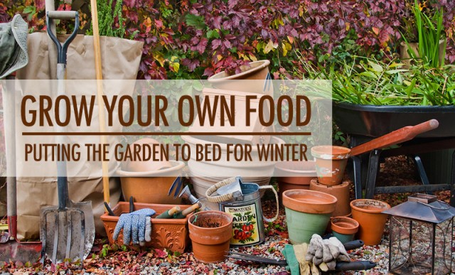 Grow Your Own Food: Putting the Garden to Bed for Winter