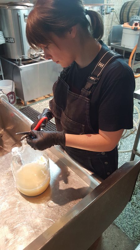 Ontario Craft Beer: The Story of Folly Brewpub's Success