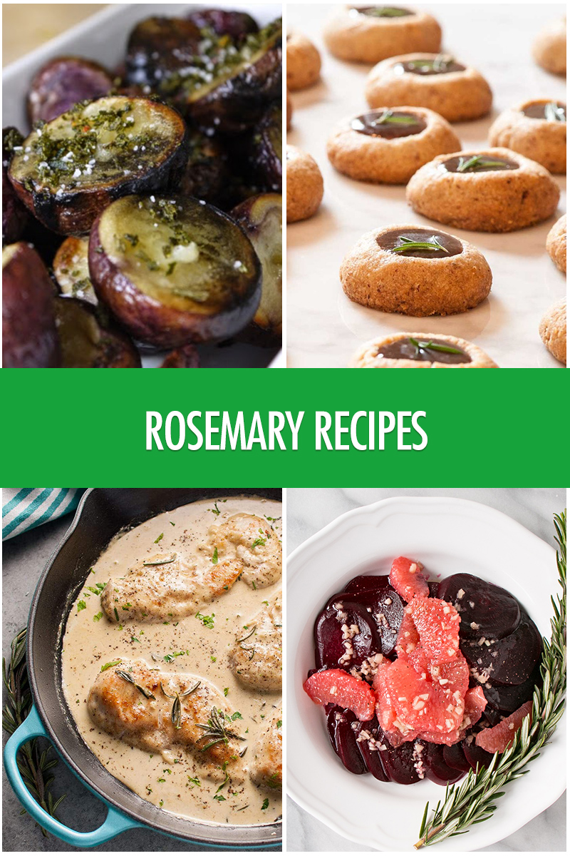 19 Fragrant Rosemary Recipes | Food Bloggers of Canada