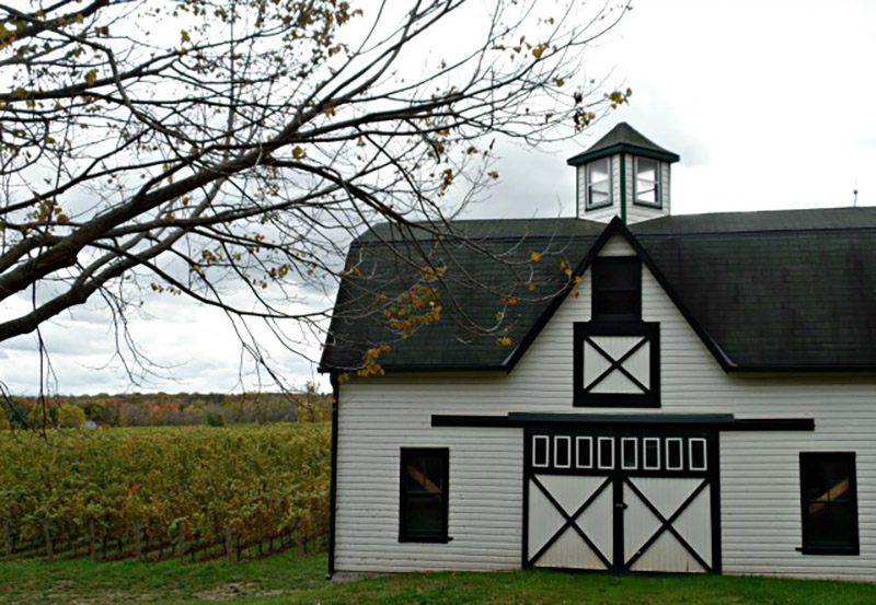 Discover Ontario Wine Country - A Regional Guide | Food Bloggers of Canada