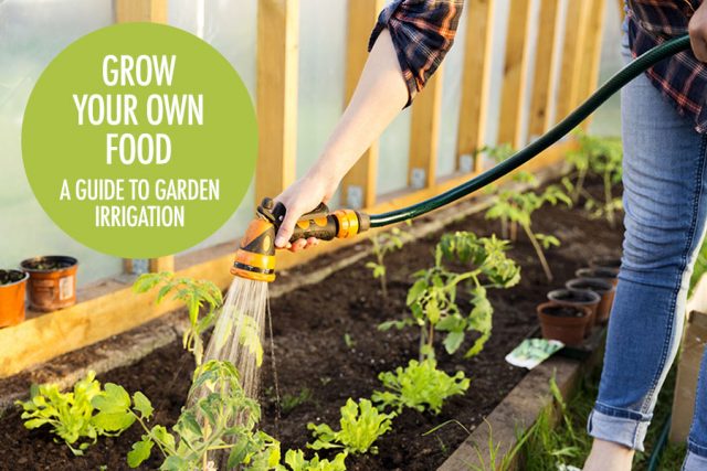 A guide to garden irrigation | Food Bloggers of Canada