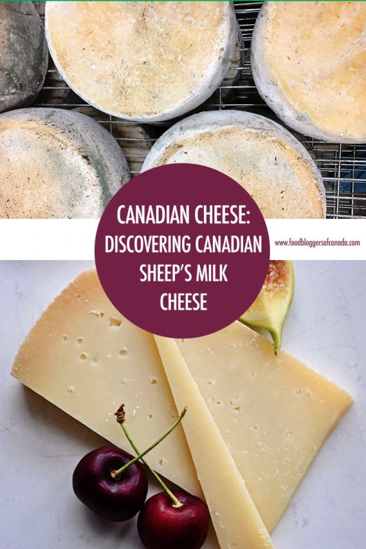 Canadian Sheep's Milk Cheeses Food Bloggers of Canada
