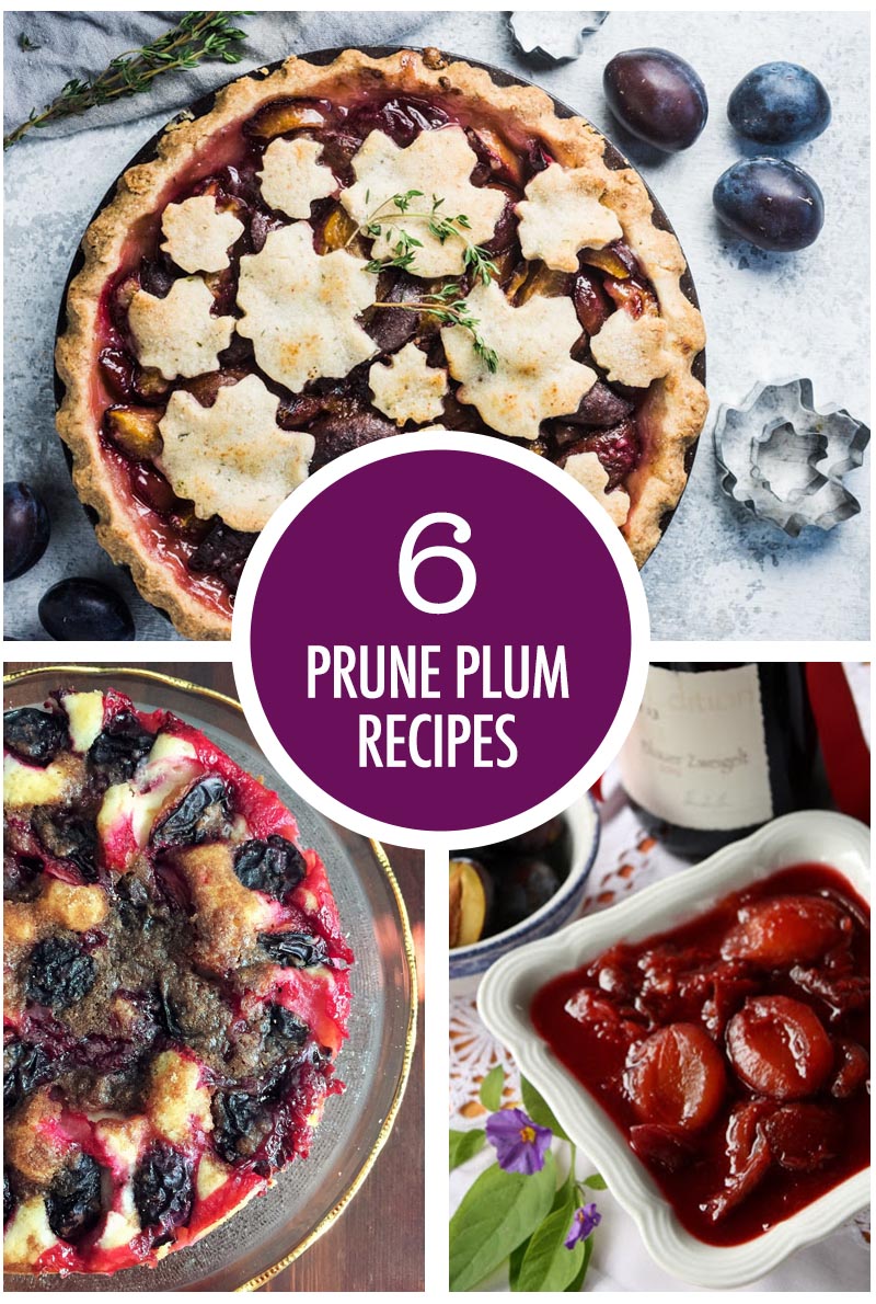 6 Ways to Use Prune Plums | Food Bloggers of Canada