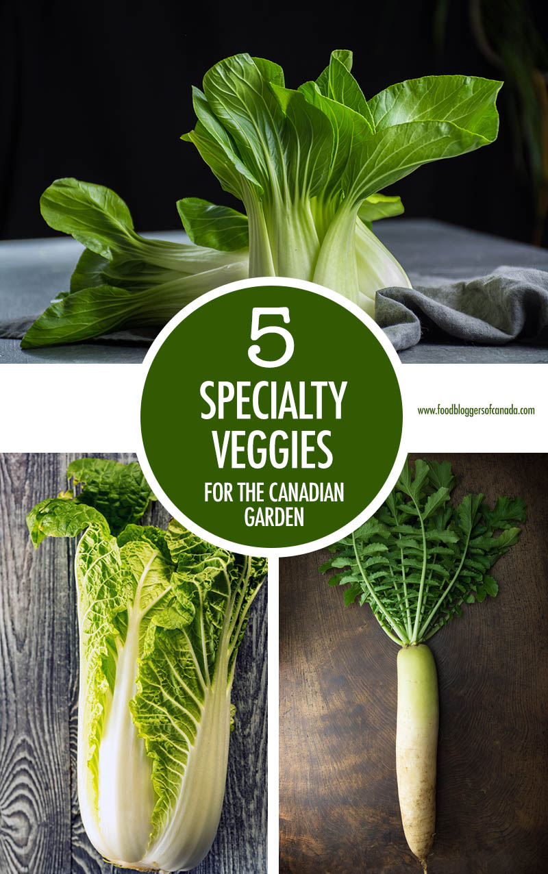 5 Specialty Veggies For the Canadian Garden | Food Bloggers of Canada