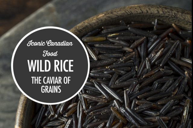 Wild Rice: The Caviar of Grains | Food Bloggers of Canada