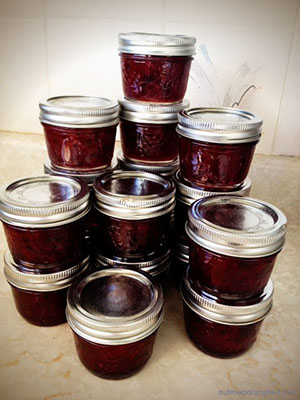 Over 30 Hot and Spicy Dishes | Food Bloggers of Canada