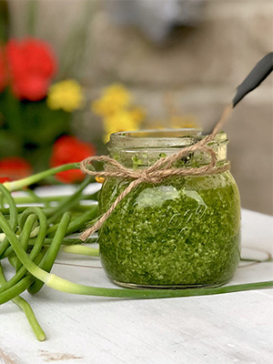 Garlic Scape Pesto | Sneaky Mommies