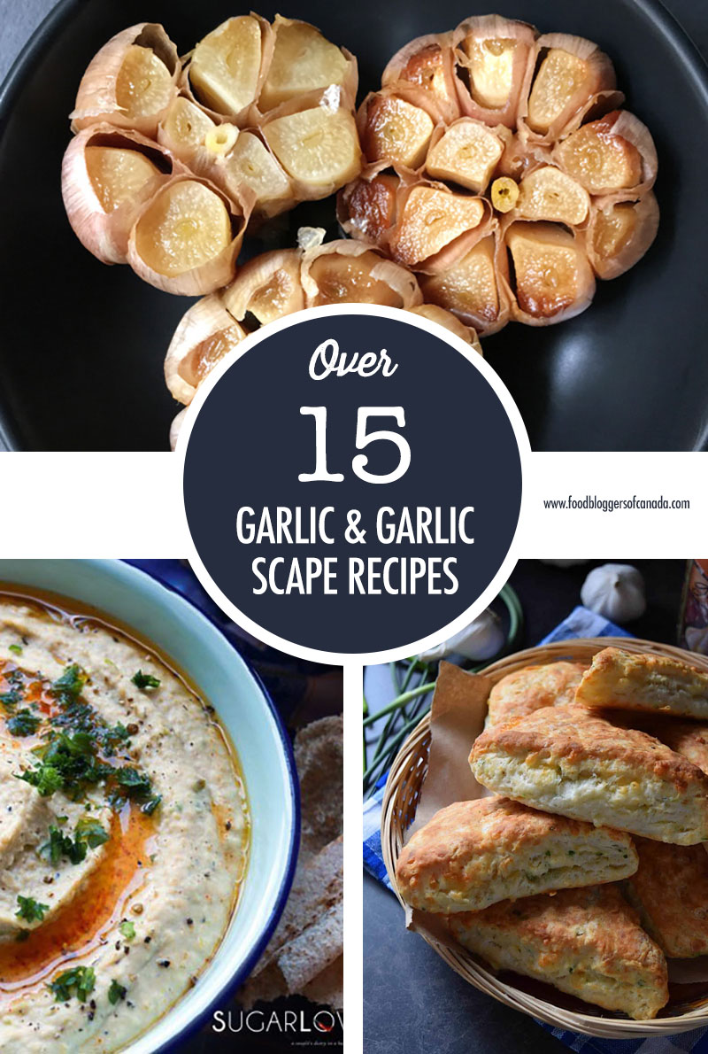 Over 15 Garlic and Garlic Scape Recipes | Food Bloggers of Canada