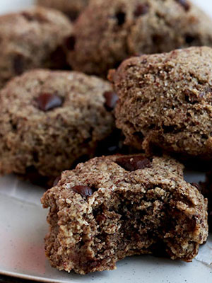 5 Ingredient Paleo Chocolate Chip Cookies | Naughty Nutrition