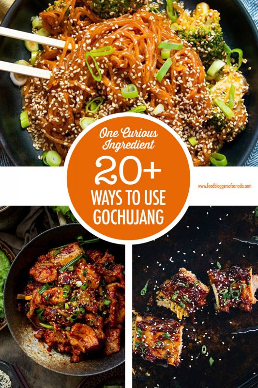Over 20 Ways to Use Gochujang | Food Bloggers of Canada